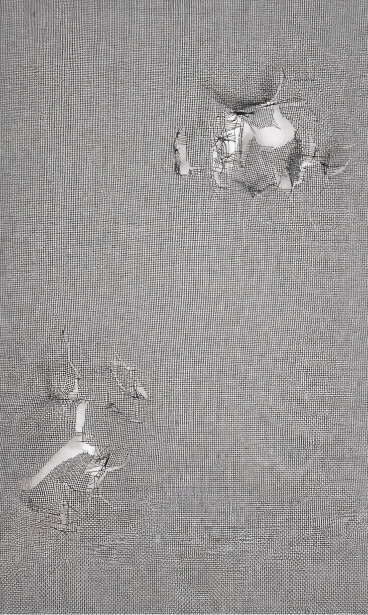 Window & Patio screen Rescreening